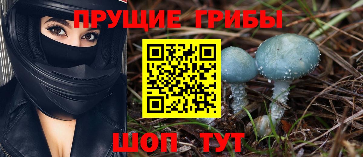Псилоцибиновые грибы Cubensis Норильск