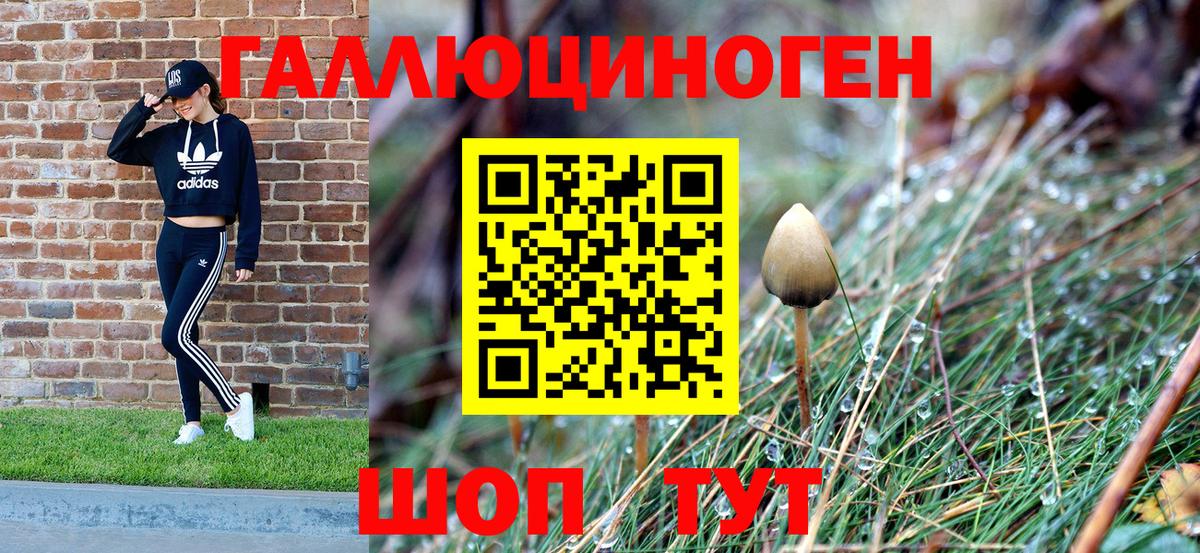 Галлюциногенные грибы мухоморы  Псилоцибиновые грибы ЛСД  Норильск  Вход с VPN 